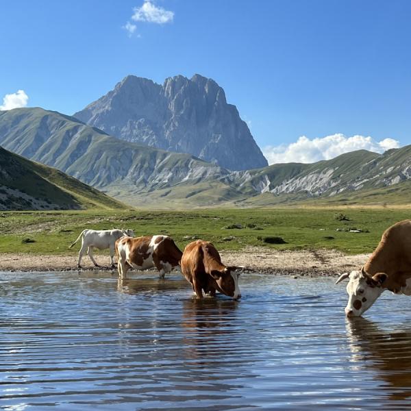 Lago di Pietranzoni - Donato Di Costanzo